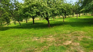 Maison a vendre Camembert 61120 Orne 170 m2 6 pièces 159000 euros