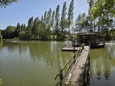 Terrains de loisirs bois etangs a vendre La Roche-Neuville 53200 Mayenne 31445 m2  95700 euros