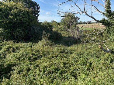 Terrains de loisirs bois etangs a vendre Sainte-Sabine-sur-Longève 72380 Sarthe 3715 m2  2800 euros