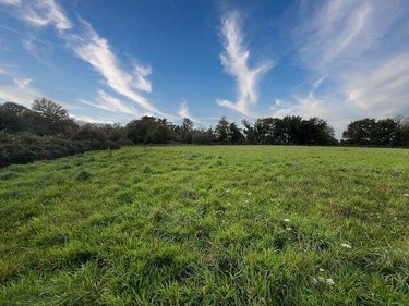 Terrain a batir a vendre Fouesnant 29170 Finistère 1163 m2  319000 euros