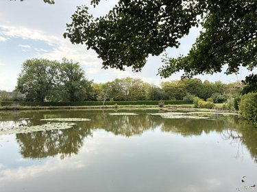 Terrains de loisirs bois etangs a vendre Brée 53150 Mayenne 8114 m2  69000 euros