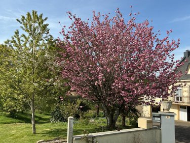 Maison a vendre Guern 56310 Morbihan 148 m2 5 pièces 196080 euros