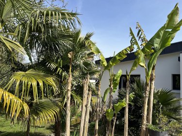 Maison a vendre Gouesnach 29950 Finistère 116 m2 6 pièces 479000 euros