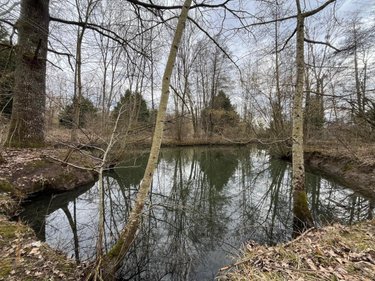Terrains de loisirs bois etangs a vendre Ferrières-en-Gâtinais 45210 Loiret 3758 m2  34000 euros