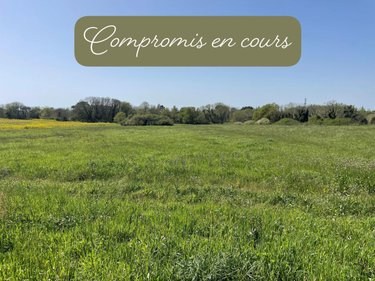 Terrains de loisirs bois etangs a vendre Trégunc 29910 Finistère 4540 m2  9500 euros