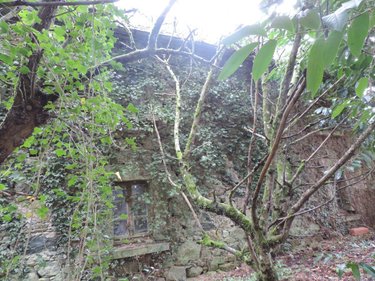 Maison a vendre La Chapelle-Neuve 22160 Côtes-d'Armor 38 m2  37700 euros