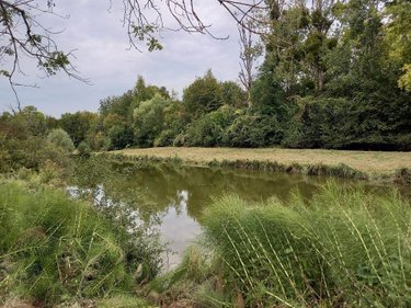 Divers a vendre Muret-et-Crouttes 02210 Aisne 8800 m2  55600 euros