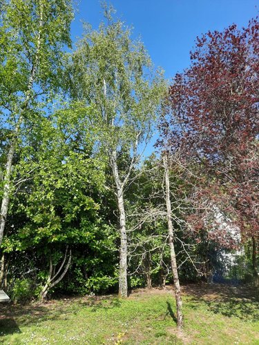 Maison a vendre Charentilly 37390 Indre-et-Loire 187 m2 8 pièces 470000 euros