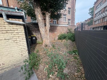 Location maison Lille 59000 Nord 70 m2  1190 euros