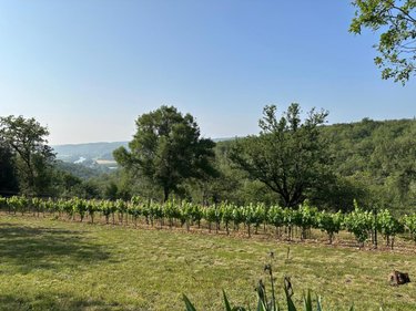 Maison a vendre Bellefont-La Rauze 46090 Lot 140 m2 6 pièces 240000 euros