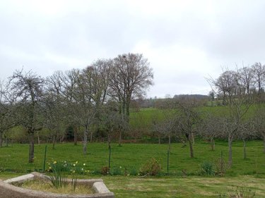 Maison a vendre Juvigny les Vallées 50520 Manche 145 m2 4 pièces 240680 euros