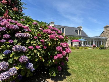 Maison a vendre Plonéour-Lanvern 29720 Finistère 250 m2  998000 euros