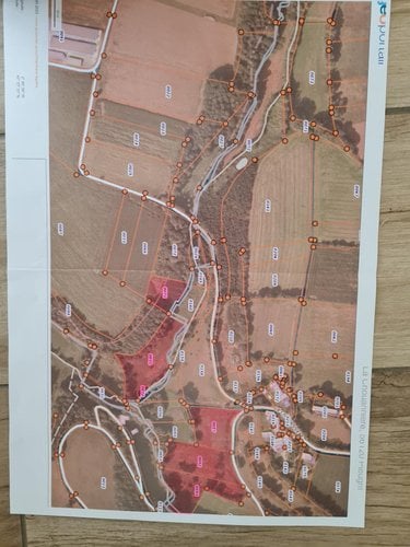 Terrains de loisirs bois etangs a vendre Pleugriffet 56120 Morbihan 28767 m2  11605 euros