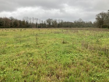 Terrain a batir a vendre Pluneret 56400 Morbihan 290 m2  88000 euros