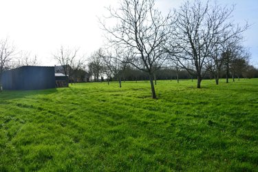 Terrains de loisirs bois etangs a vendre Grez-en-Bouère 53290 Mayenne 9026 m2  37450 euros