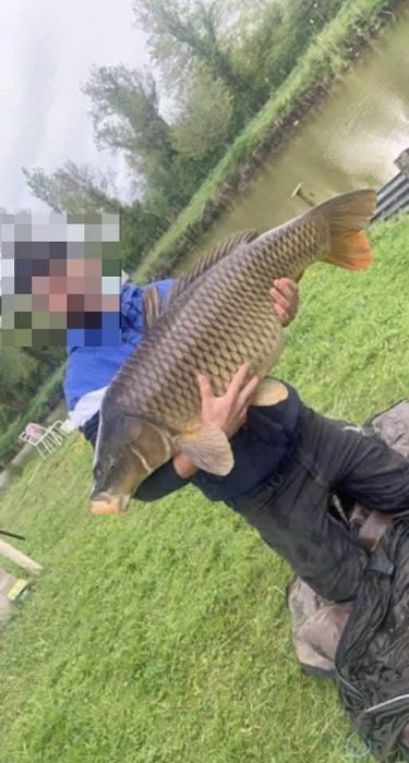 Terrains de loisirs bois etangs a vendre Laon 02000 Aisne 4901 m2  49000 euros