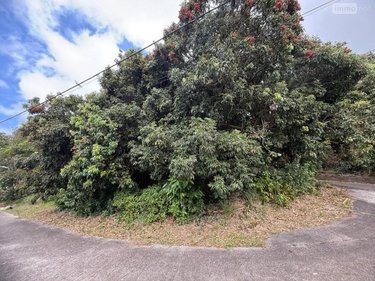 Terrain a batir a vendre Saint-Joseph 97480 Réunion 928 m2  139300 euros