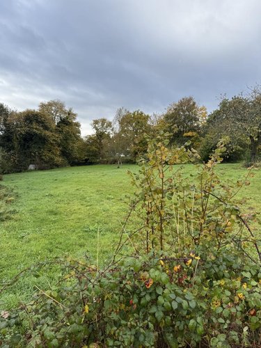 Terrain a batir a vendre Plémet 22210 Côtes-d'Armor 1169 m2  13800 euros