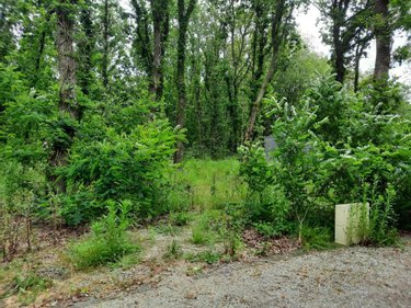 Terrain a batir a vendre Soullans 85300 Vendée  106600 euros