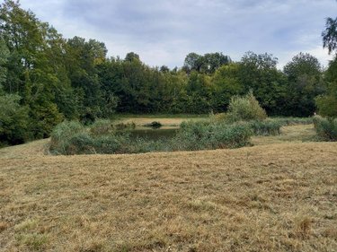 Terrains de loisirs bois etangs a vendre Muret-et-Crouttes 02210 Aisne 4249 m2  34600 euros