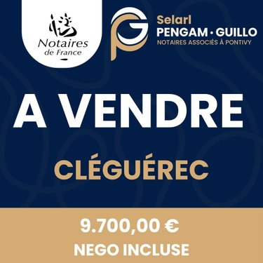 Terrains de loisirs bois etangs a vendre Cléguérec 56480 Morbihan 5229 m2  9700 euros