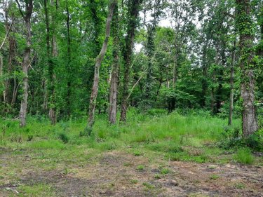 Terrain a batir a vendre Soullans 85300 Vendée  106600 euros