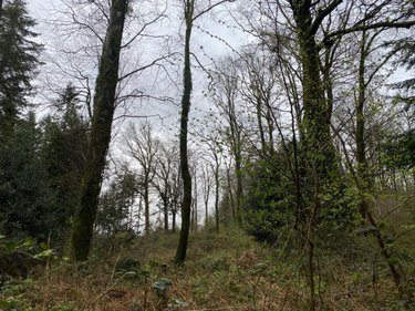 Terrains de loisirs bois etangs a vendre Champ-du-Boult 14380 Calvados 36976 m2  56710 euros