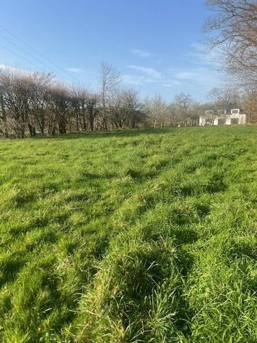 Terrain a batir a vendre Grand-Champ 56390 Morbihan 1323 m2  186300 euros