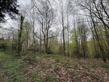 Divers a vendre Fumichon 14590 Calvados 17939 m2  19500 euros