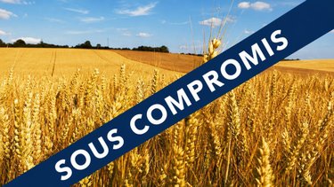 Terrains de loisirs bois etangs a vendre Rosporden 29140 Finistère 128965 m2  79500 euros