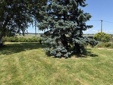 Maison a vendre Le Tour-du-Parc 56370 Morbihan 108 m2 6 pièces 571725 euros
