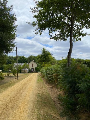 Location maison Écuillé 49460 Maine-et-Loire 98 m2 4 pièces 800 euros