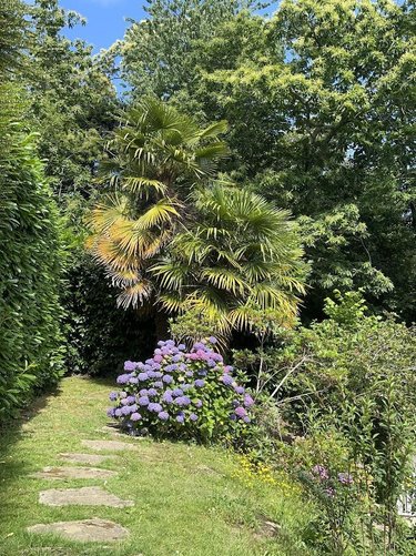 Maison a vendre Fouesnant 29170 Finistère 135 m2 5 pièces 517275 euros