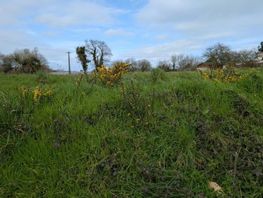 Terrain a batir a vendre Plouha 22580 Côtes-d'Armor 1707 m2  241500 euros