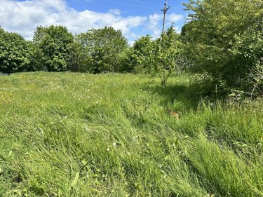 Maison a vendre Saint-Mary-le-Plain 15500 Cantal 249 m2  233200 euros