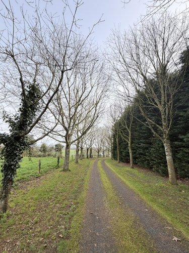 Maison a vendre Montrevault-sur-Èvre 49110 Maine-et-Loire 250 m2 9 pièces 354900 euros