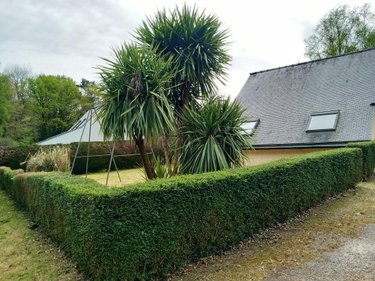 Maison a vendre Plélauff 22570 Côtes-d'Armor 97 m2 4 pièces 239500 euros