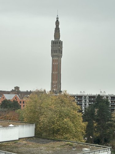 Appartement a vendre Lille 59000 Nord 41 m2 2 pièces 178100 euros