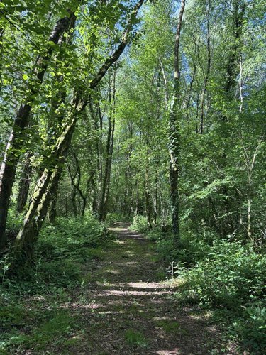 Terrains de loisirs bois etangs a vendre Noues de Sienne 14380 Calvados 185705 m2  399000 euros