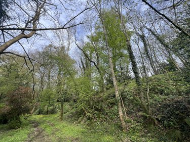 Maison a vendre La Chapelle-Blanche 22350 Côtes-d'Armor 252 m2  387990 euros