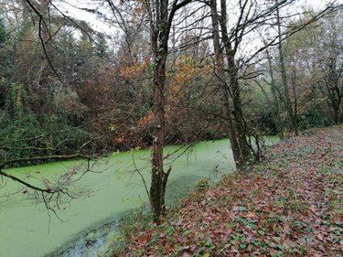 Divers a vendre La Celle-Saint-Avant 37160 Indre-et-Loire 3863 m2  13650 euros