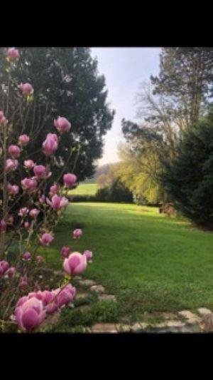Maison a vendre Walincourt-Selvigny 59127 Nord 282 m2 11 pièces 305000 euros