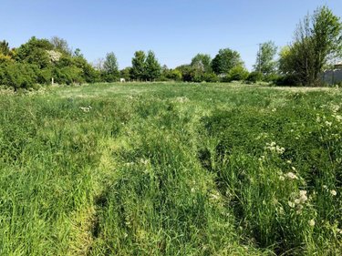 Maison a vendre Fresnes-lès-Montauban 62490 Pas-de-Calais 131 m2 7 pièces 312000 euros