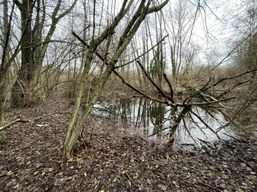 Terrains de loisirs bois etangs a vendre Airaines 80270 Somme 1760 m2  5500 euros