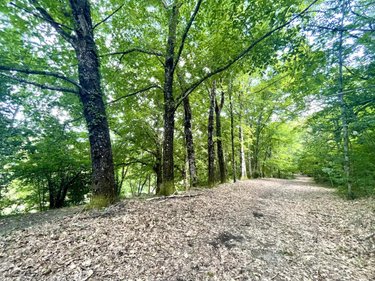 Maison a vendre Gabriac 48110 Lozère 235 m2 8 pièces 395000 euros