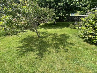 Terrain a batir a vendre Hennebont 56700 Morbihan 260 m2  58600 euros