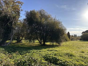 Terrain a batir a vendre Île-d'Arz 56840 Morbihan 1516 m2  373540 euros