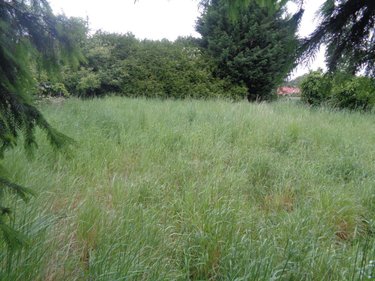 Maison a vendre Lapugnoy 62122 Pas-de-Calais 67 m2  44500 euros