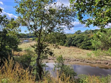 Maison a vendre Caudan 56850 Morbihan 170 m2 8 pièces 519440 euros