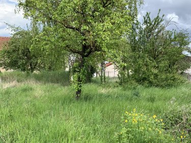Terrain a batir a vendre Cauroy-lès-Hermonville 51220 Marne 565 m2  64300 euros